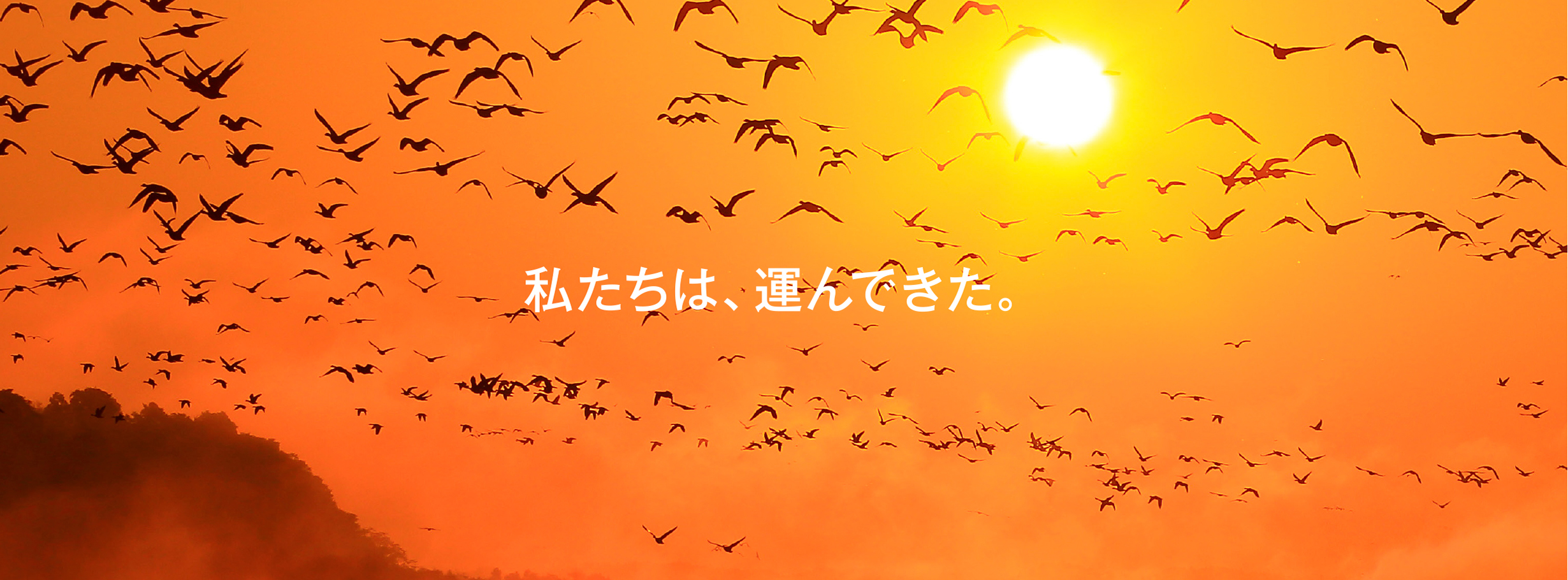 私たちは、運んできた。
