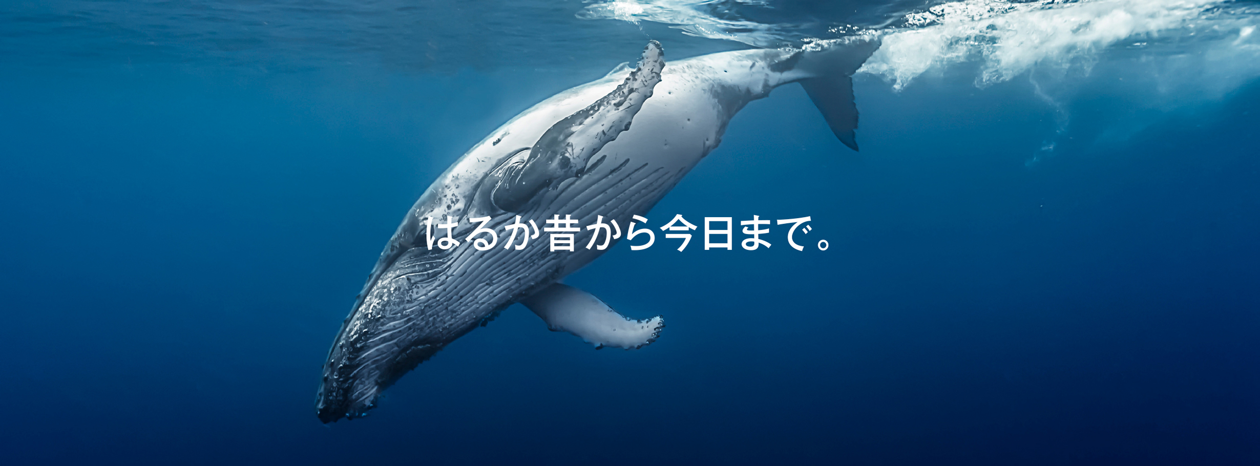 はるか昔から今日まで。